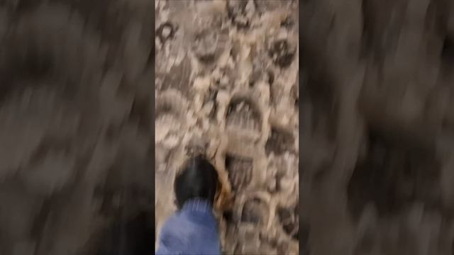 Явно Новый Год (ЯНГ)