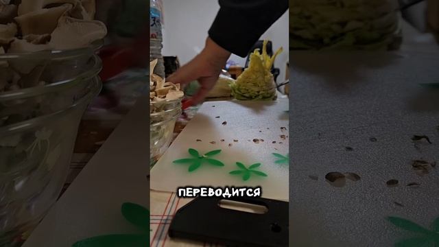 Сколько стоит накормить японского мужа... смотреть онлайн