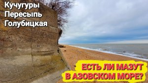 Азовское море, есть ли мазут? #Голубицкая