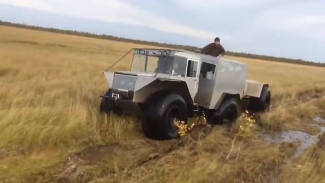 Болотный Проходимец 1600 смотреть онлайн