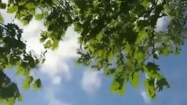 Вероника Агапова Две березки смотреть онлайн