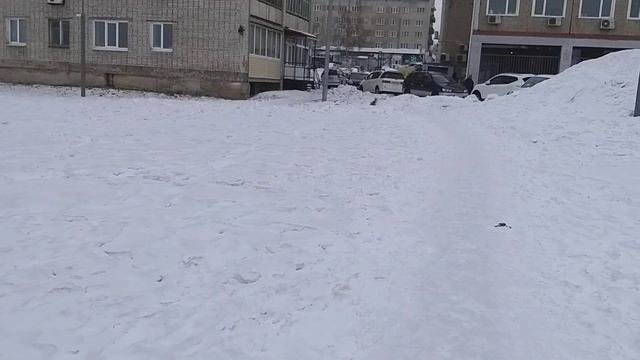 Совгавань, прогулка по Площади Победы, 17.01.23г. смотреть онлайн