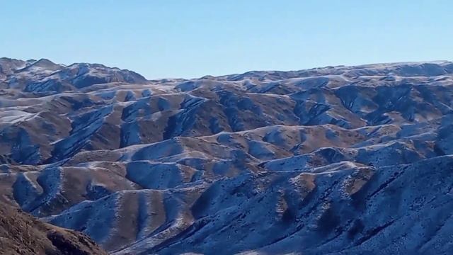 Ш.Қ.О Тарбағатай ауданы Құйған ауылы смотреть онлайн