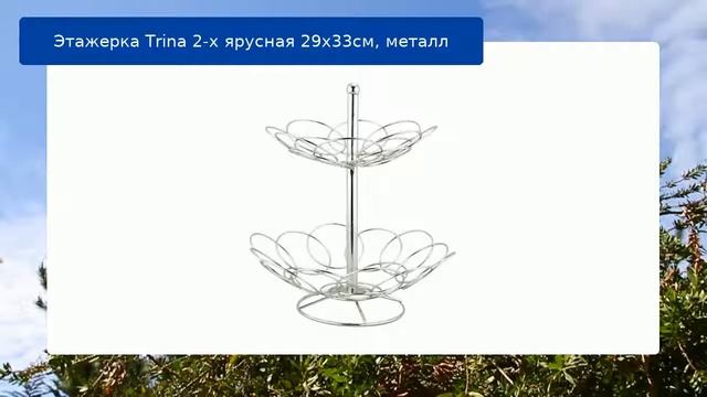 Этажерка Trina 2-х ярусная 29х33см, металл обзор смотреть онлайн