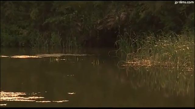 Kappa (1994)