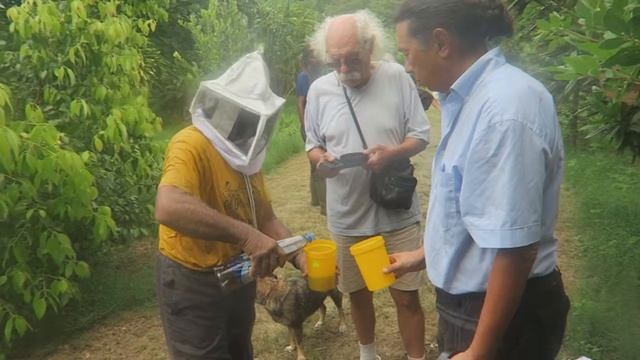 Ô jardin de Paulo - Nourrir les abeilles смотреть онлайн