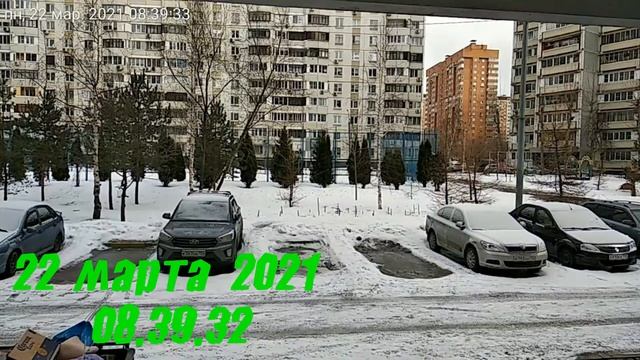 ТАЙМЛАПС!!! 40 Дней За 4 Минуты! Интересно! Ждем Новые Клипы смотреть онлайн