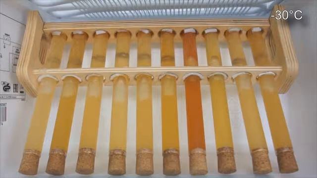 Độ Đông Đặc Của Nhớt Của Các Hãng Ở -30 độ C смотреть онлайн