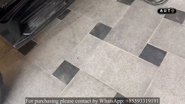 2024 Style Lexus LED Welcome Logo Door Light