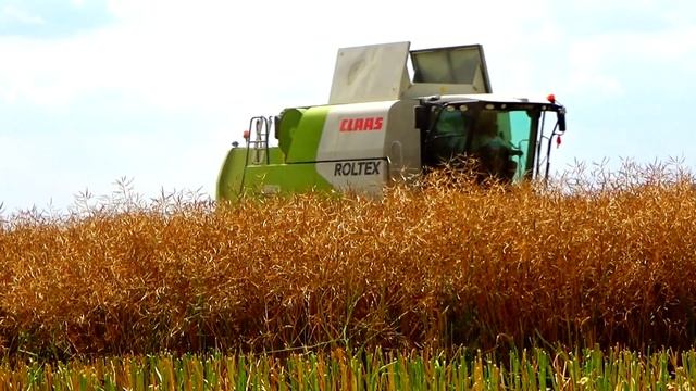 Żniwa z Claasą 2019 II NOWY NABYTEK Claas Tucano 320 смотреть онлайн