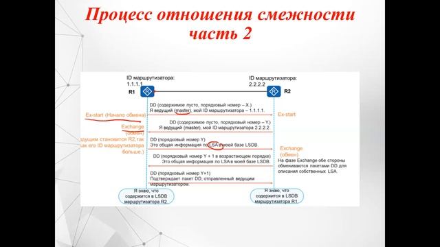 7 4 Отношение смежности OSPF смотреть онлайн