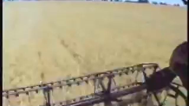 cos 1175 смотреть онлайн