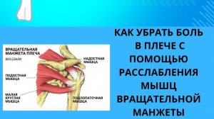 КАК УБРАТЬ БОЛЬ В ПЛЕЧЕ С ПОМОЩЬЮ РАССЛАБЛЕНИЯ МЫШЦ ВРАЩАТЕЛЬНОЙ МАНЖЕТЫ.