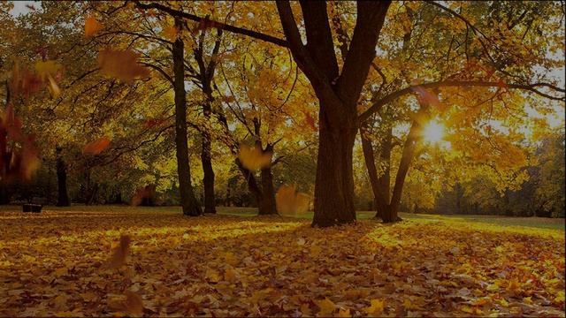 Вот и осень смотреть онлайн