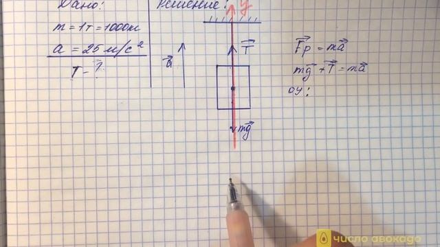 Законы Ньютона | Решение Задач | ФИЗИКА ЕГЭ 2024 | Число Авокадо смотреть онлайн