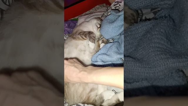 каспер смотреть онлайн