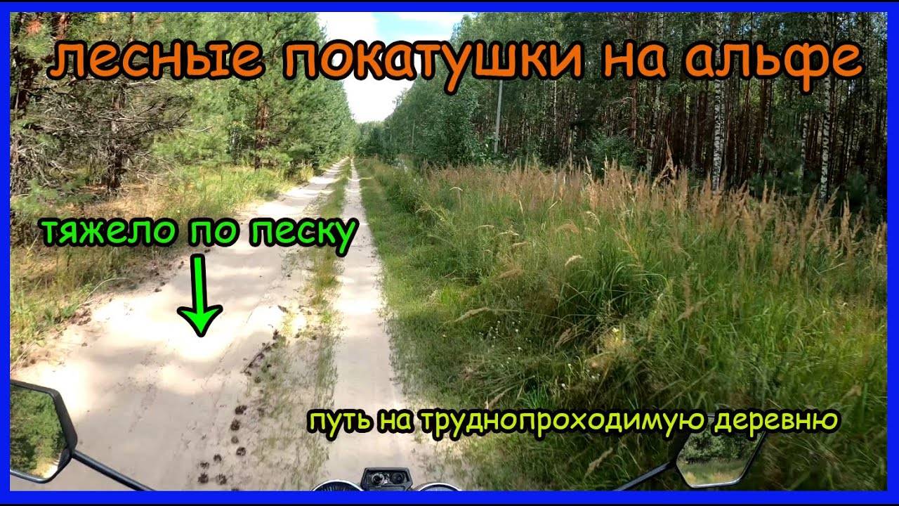 Лесные покатушки на мопеде альфа. Трудный путь до труднодоступной деревни смотреть онлайн