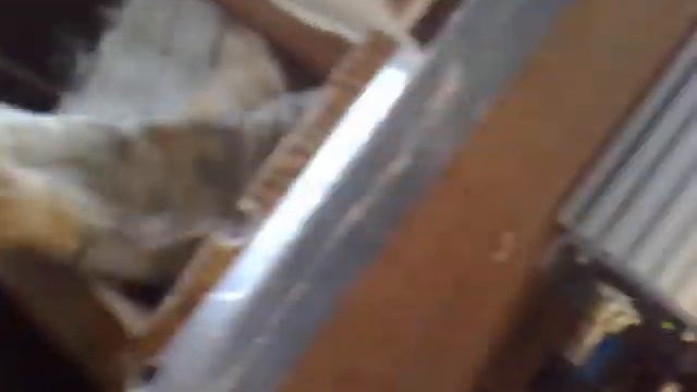 повсиднев3 ddm3+aq смотреть онлайн