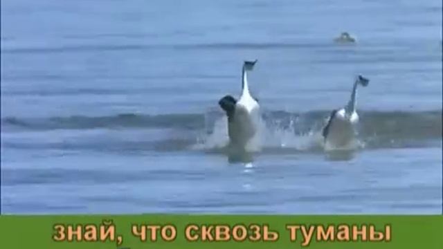 Как-то получилось смотреть онлайн