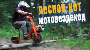 OFFROAD на моторе от ТРИММЕРА? Это реально? Тест драйв экспериментальной разработки «Лесной Кот»!