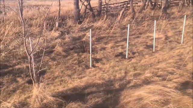 Канадский фермер - 50 смотреть онлайн