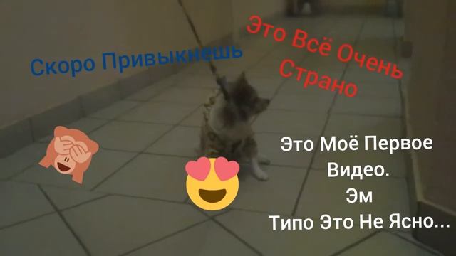 Привет.Я решила стать видеоблогером.Боже.Подписывайтесь добрые молодцы и девицы♥ смотреть онлайн