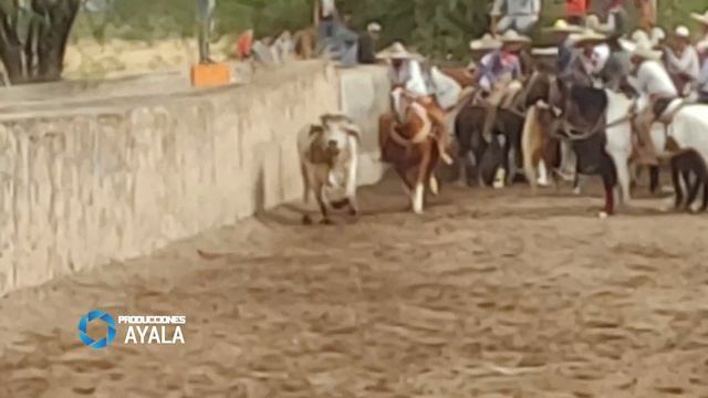 COLEADERO EN SANTA RITA JEREZ ZACATECAS 21 DE MAYO 2023 смотреть онлайн
