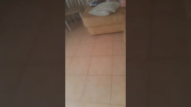 Полицея смотреть онлайн