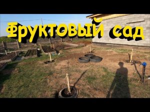 Цены на саженцы. Посадка плодовых деревьев.