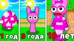 КАК МЕНЯЛАСЬ ДЕВУШКА ПИНКИ СПРУНКИ В МАЙНКРАФТ?