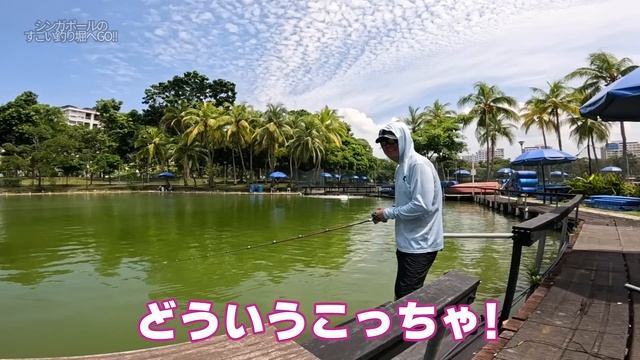 シンガポールにすごい釣り堀があったので見て смотреть онлайн