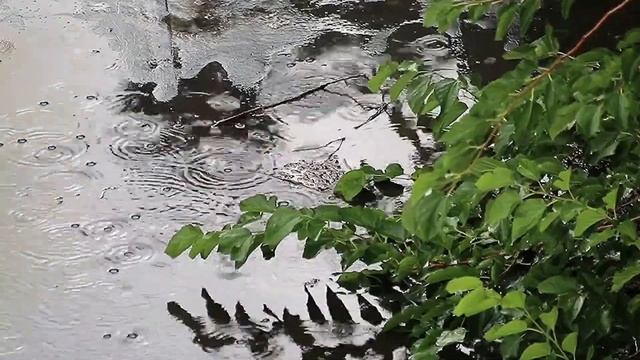 Облетают последние маки смотреть онлайн