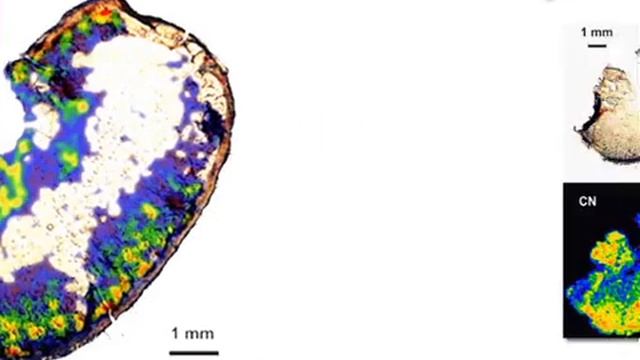 Laser-induced Breakdown Spectroscopy : Nanoparticle's Mapping | Protocol Preview смотреть онлайн