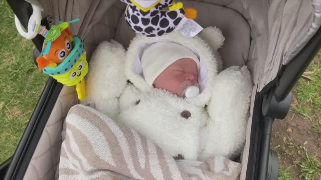 Поездка с Луи в деревню ВЛОГ с Луи, много вещей для реборнов смотреть онлайн