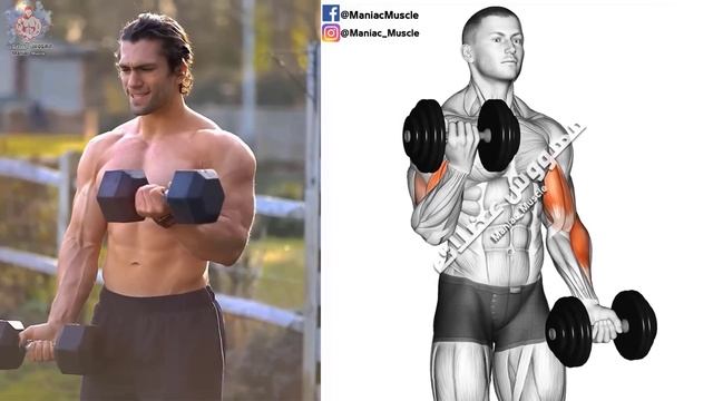 🟡 Exercise Biceps Workouts (Dumbbells Curls Only) смотреть онлайн