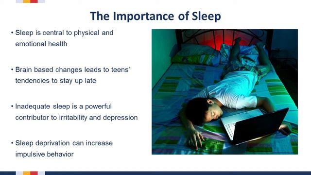 The Power of the Adolescent Brain: Segment 4 смотреть онлайн