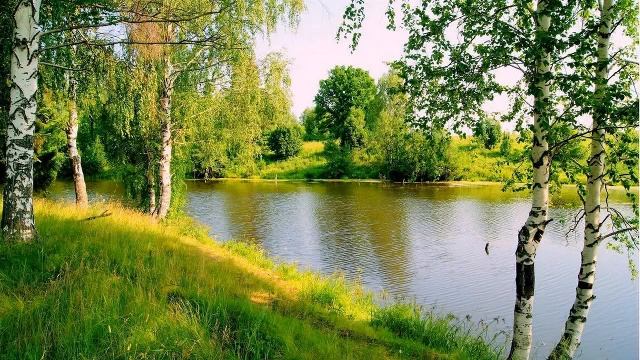 Отец Абсолют. ОТ ПРОТИВНОГО (26.05.23 г) Квантовый переход. смотреть онлайн