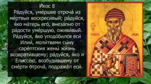 Акафист молитва Спиридону Тримифунтскому