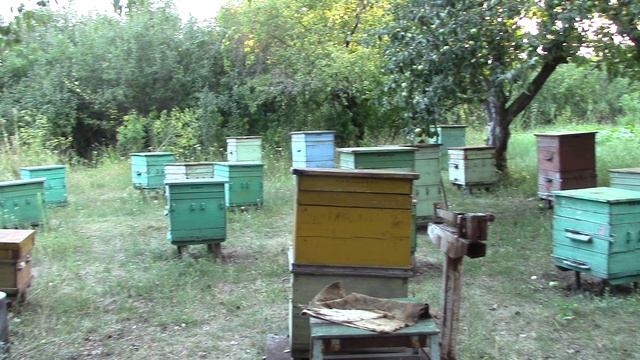 MVI_0377 смотреть онлайн