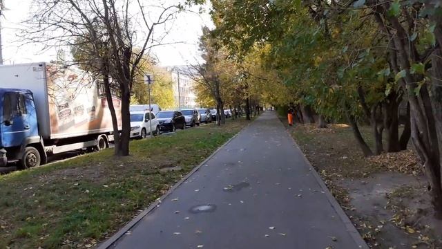 Москва 3151 Новопоселковая улица осень день смотреть онлайн