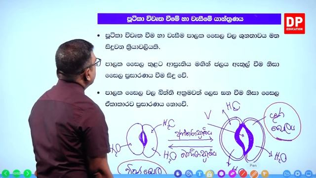 04 වන ඒකකය | 01 වන පාඩම - ශාක ව්යුහය, වර්ධනය හා විකසනය - 13 වන කොටස | AL Bio Unit 04 смотреть онлайн