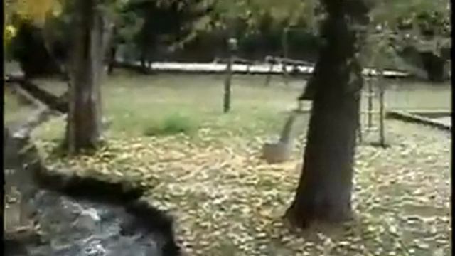 La Posta del Mistol 1 0 смотреть онлайн