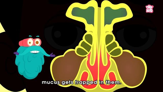 What Causes Sinusitis? | Sinus Infection | Dr Binocs Show | Peekaboo Kidz смотреть онлайн