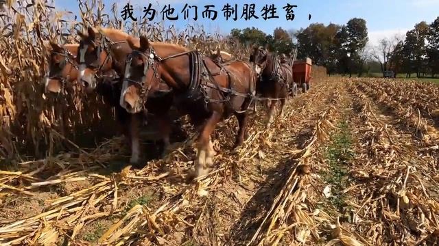 Ya-Sin《雅辛》: 71-73 смотреть онлайн