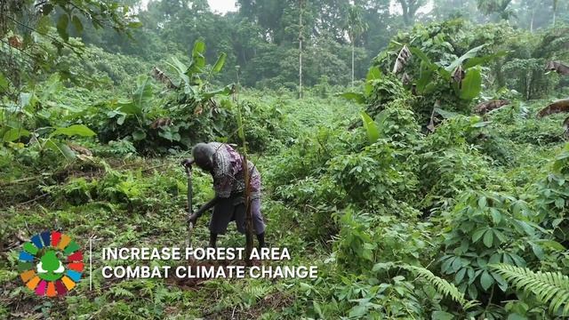 Forest-based solutions to improve people’s lives смотреть онлайн