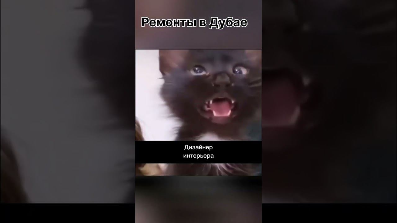 ремонт в Дубае #СтроительствоДубай#РемонтДубай#ДизайнДома#ОтделкаКвартиры#РемонтПодКлюч смотреть онлайн