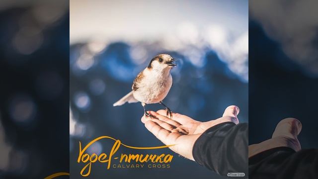Vogel - птичка смотреть онлайн