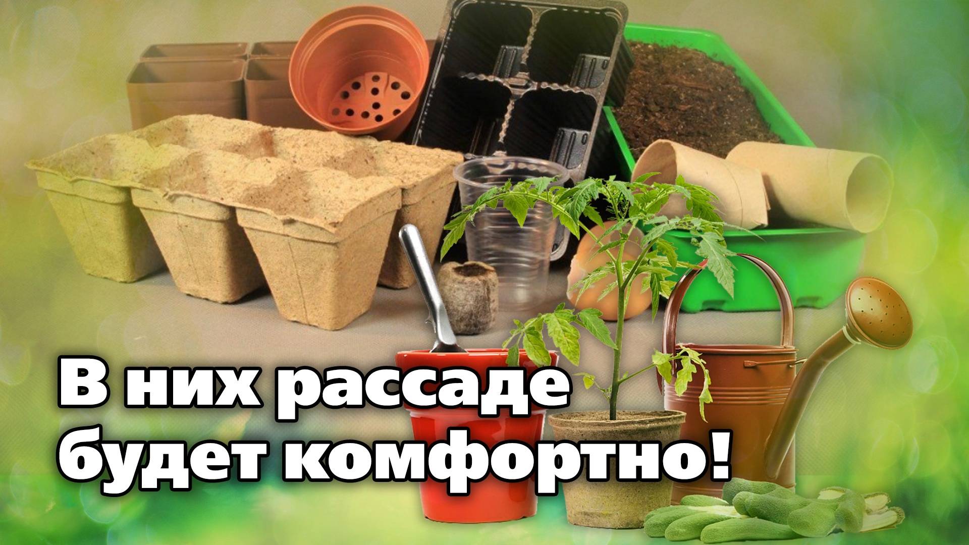 Выбираем рассадные емкости. Какие стаканчики и на каком этапе нужны растениям смотреть онлайн