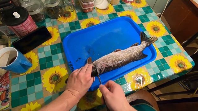 Рыбалка Мега