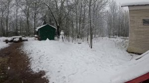 Жизнь в кайф, Трудности выбора, кинули Сечина,Бьёт жену,Развиваем мелкую моторику,Гослин,Слон,Шмель'